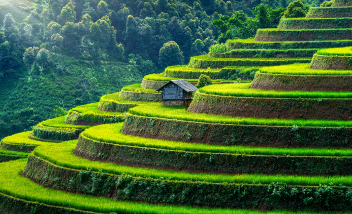 /fileservice/images/location_images/Sapa---Rice-Terasa---NS---SS.jpg-51e6c.jpg