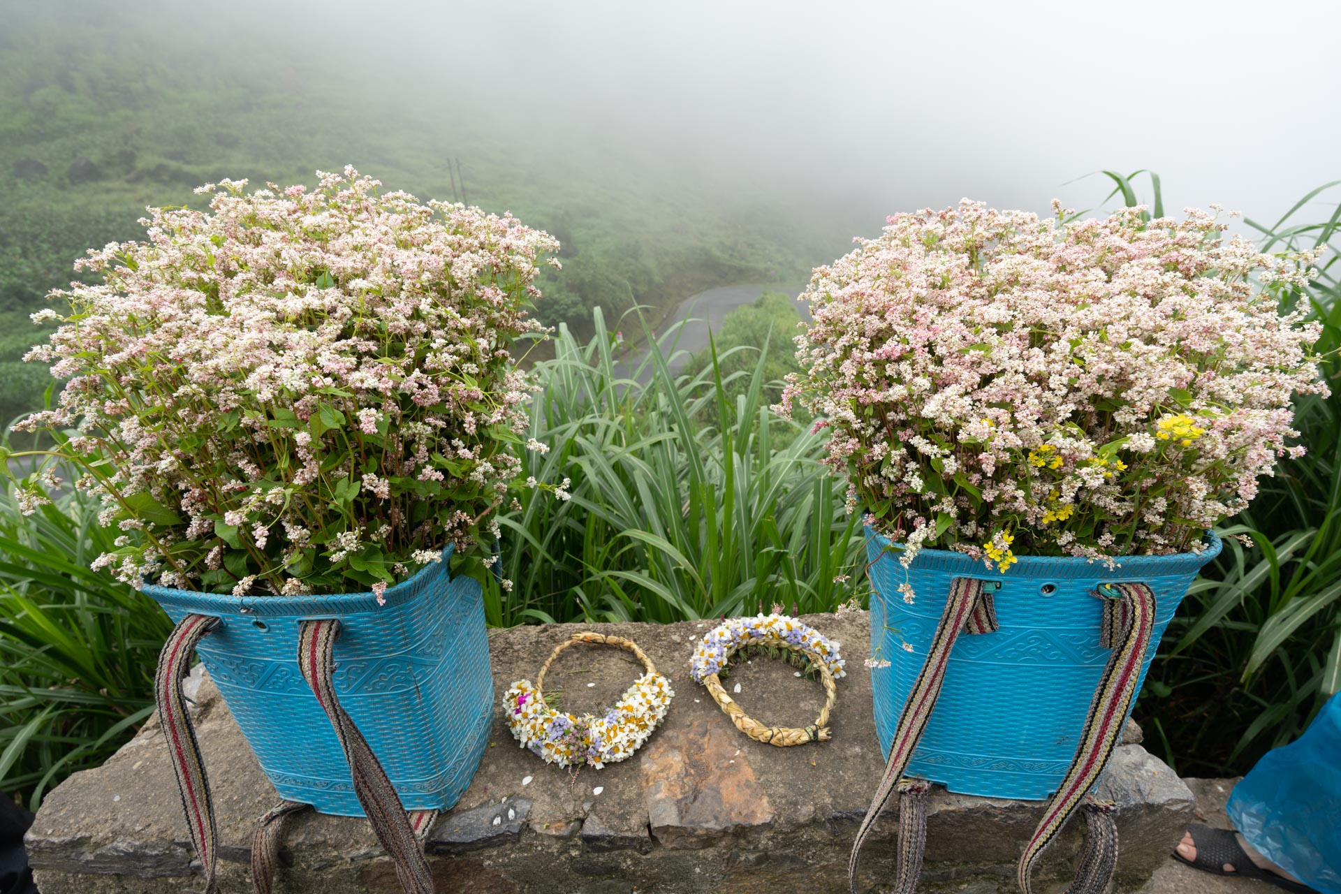Ha Giang - Traditional Flowers Horse Pass Fogg Cloud North - Fareast 247