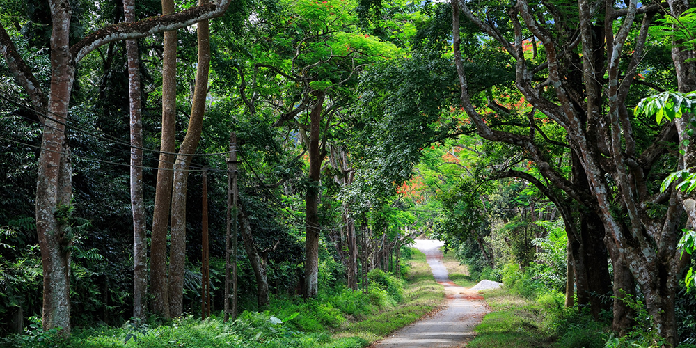 Cuc Phuong_001 - - Fareast247