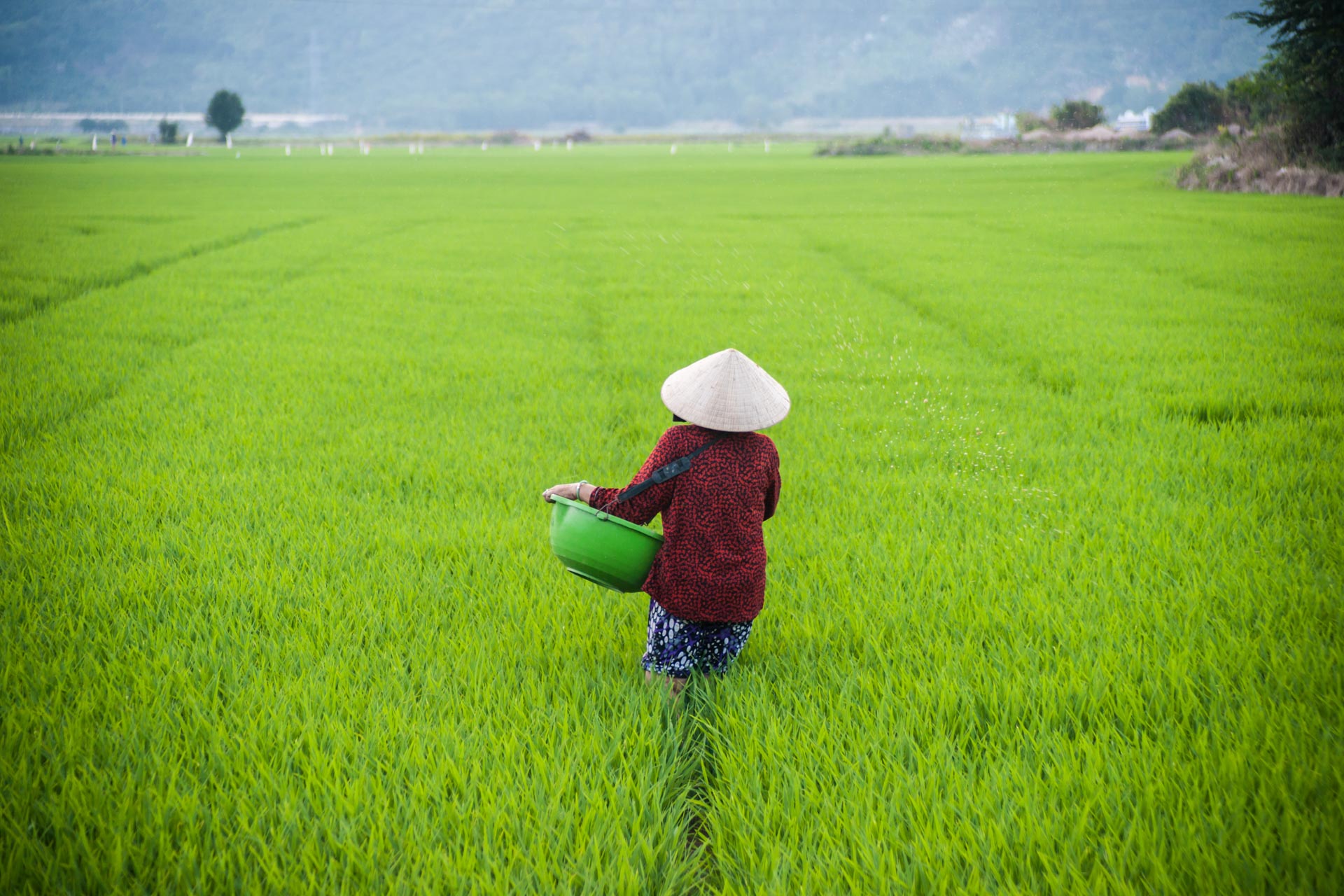 Nha,Trang,,Vietnam,-,February,11,,2015:,A,Woman,In - Fareast247