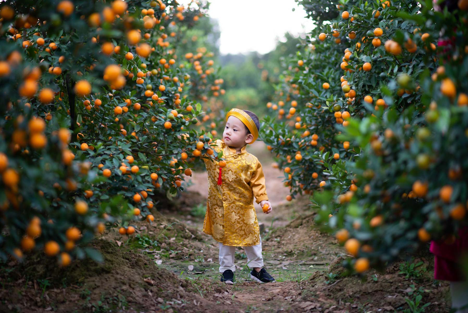 Vietnamese,Kid,In,Traditional,Custome,Play,In,Kumquat,Garden - Fareast247